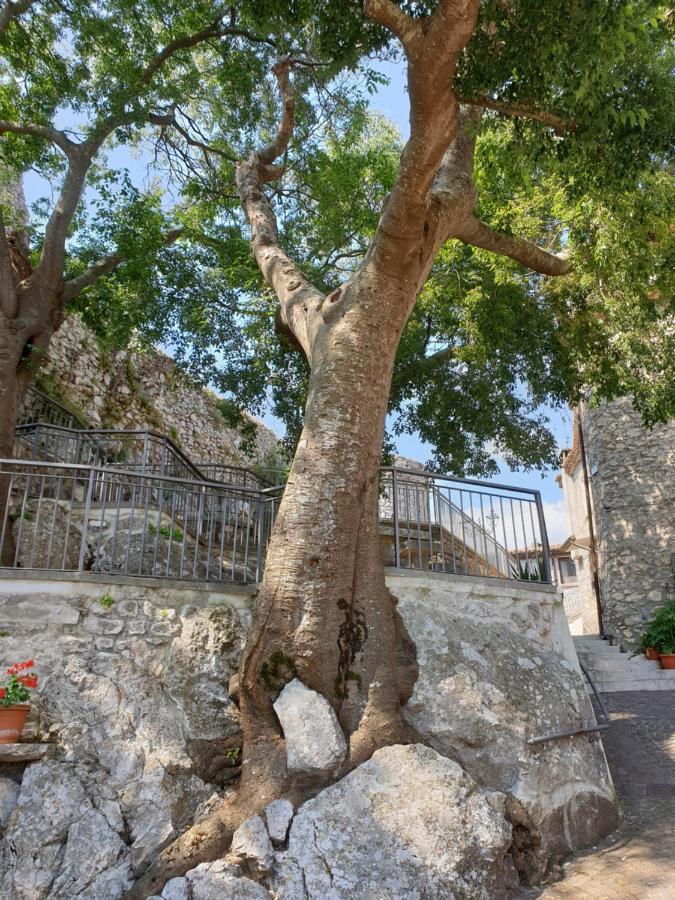 Willa Casa Di Mamma Rosa Castelnuovo Parano Zewnętrze zdjęcie